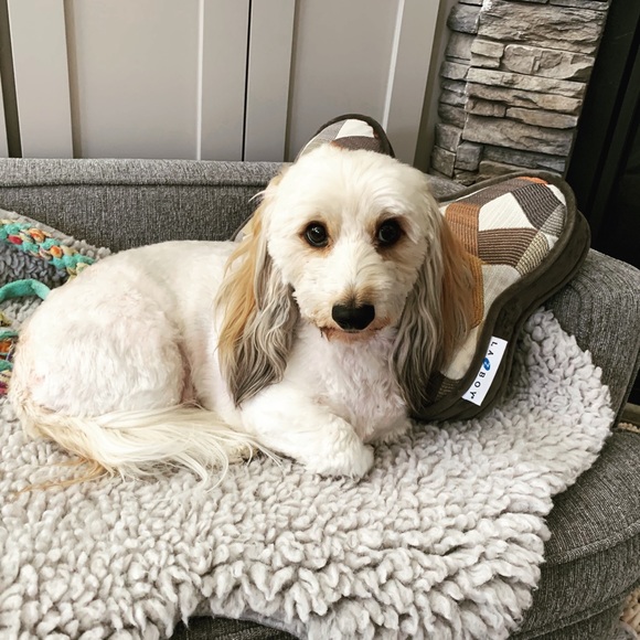 Meet your Posher, Gayle - Picture 4 of 7